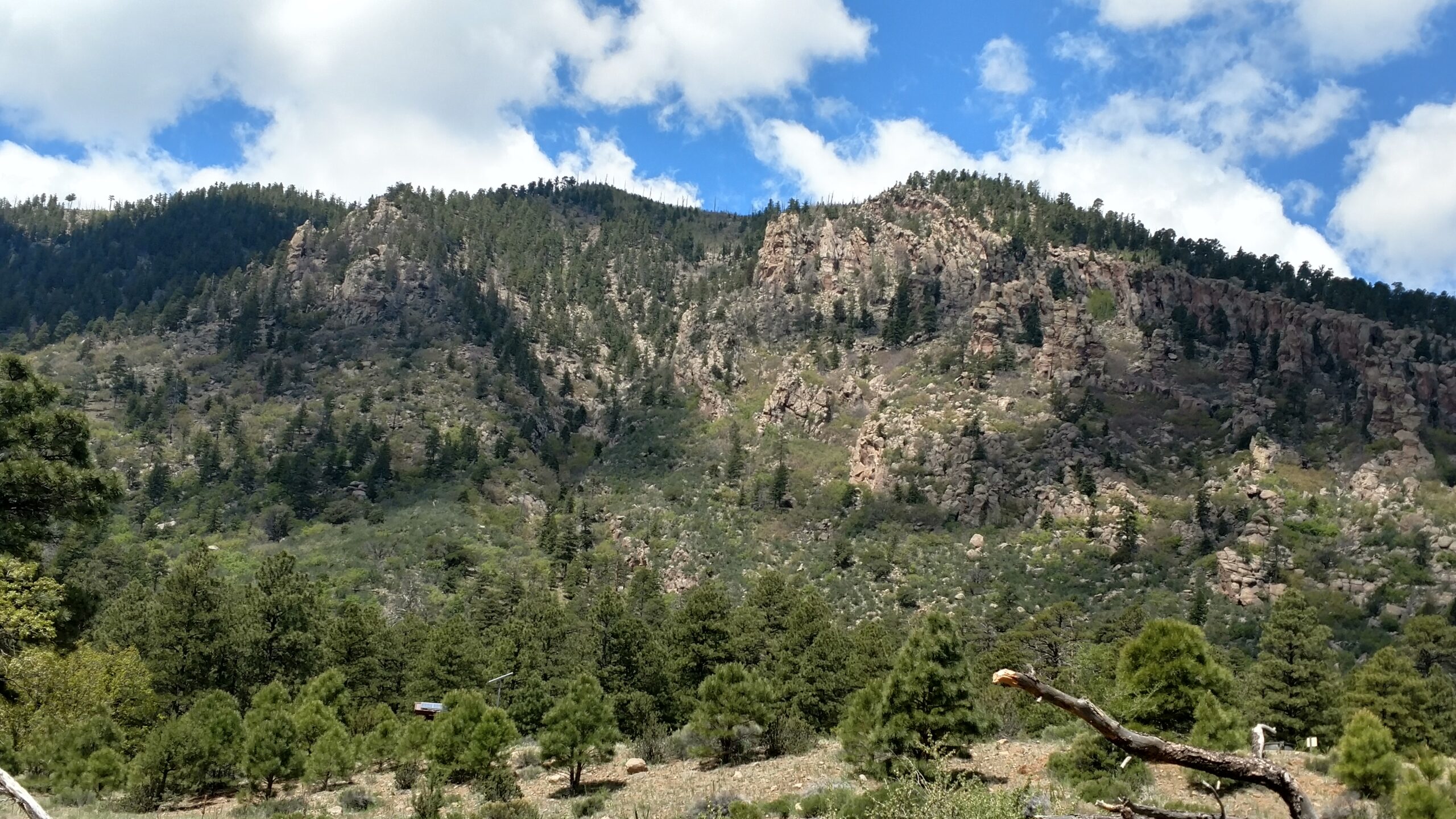 You are currently viewing The Christmas Tree Trail – Flagstaff, Arizona.