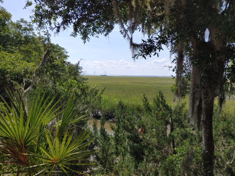 Read more about the article Jekyll Island Bike Trail (Jekyll Island, GA.)