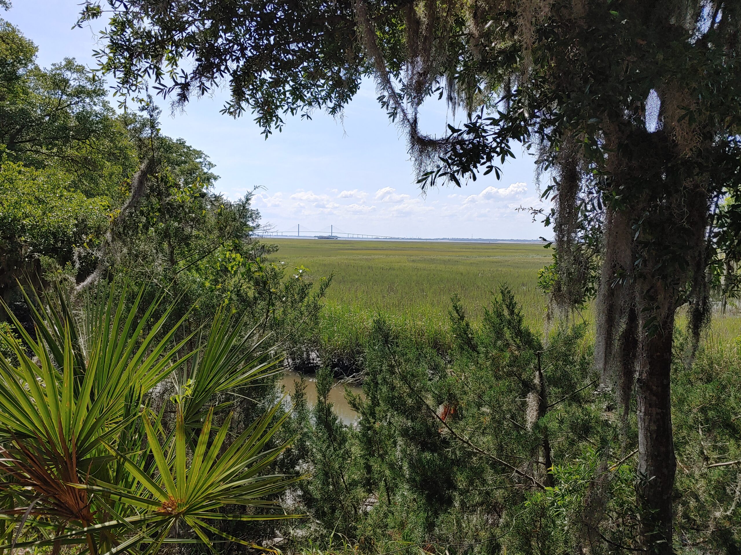 You are currently viewing Jekyll Island Bike Trail (Jekyll Island, GA.)