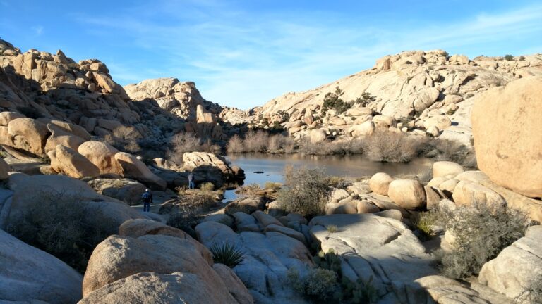 Read more about the article Joshua Tree National Park – Barker Dam Trail