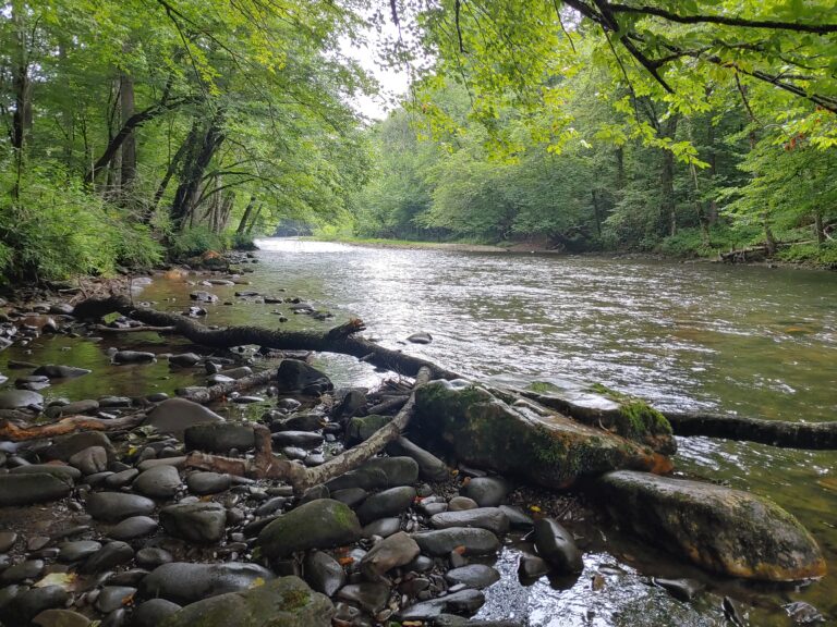 Read more about the article Oconaluftee River Trail – Cherokee, NC.