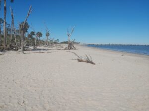 Jacksonville beach