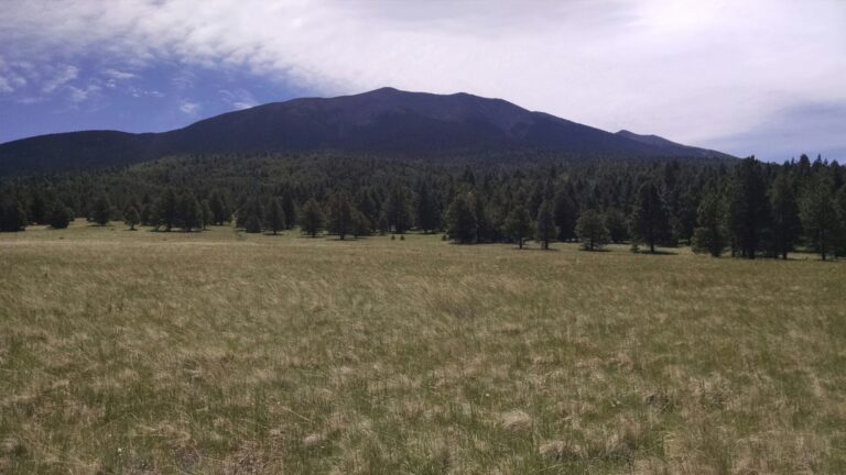 Read more about the article Little Spring to Bismark Lake Trail – Flagstaff, AZ