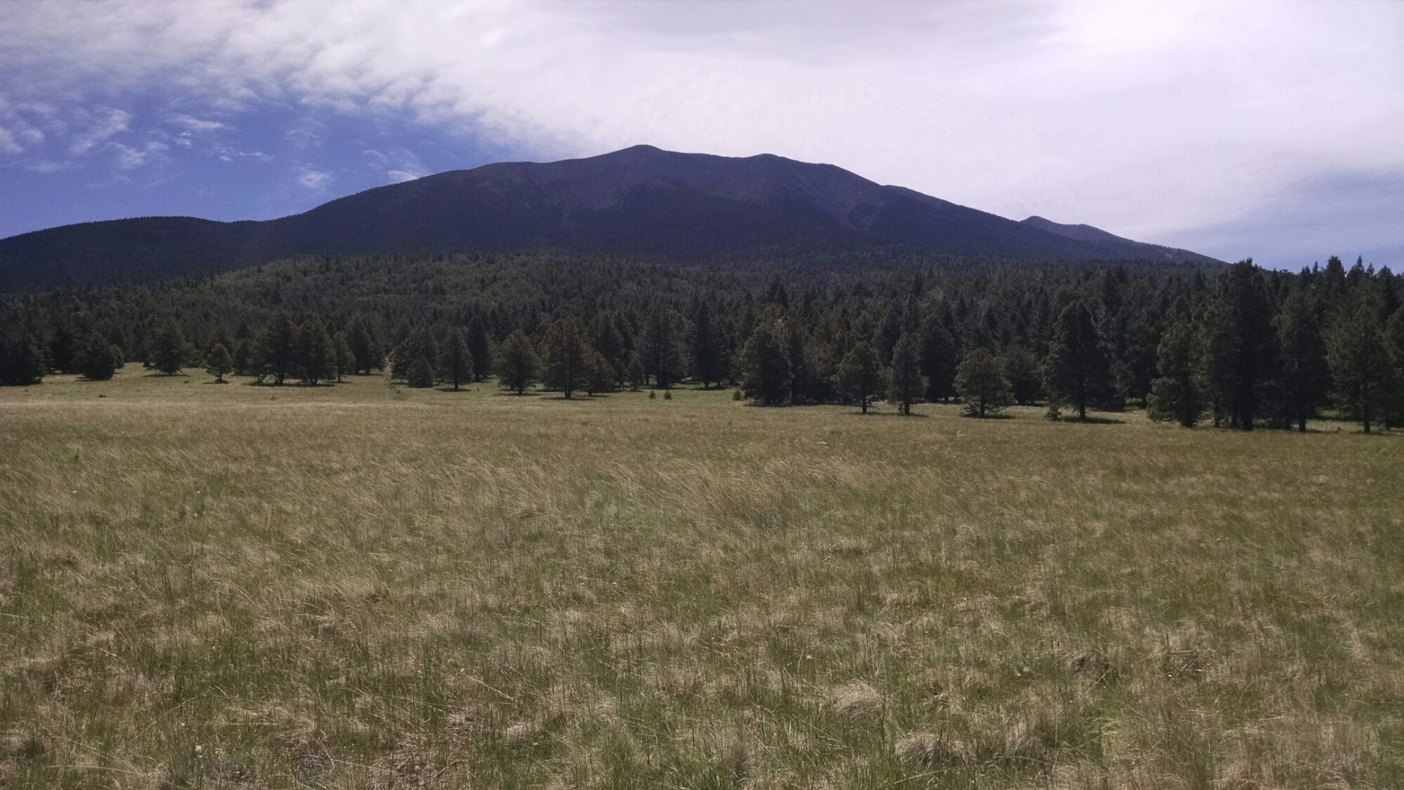 You are currently viewing Little Spring to Bismark Lake Trail – Flagstaff, AZ