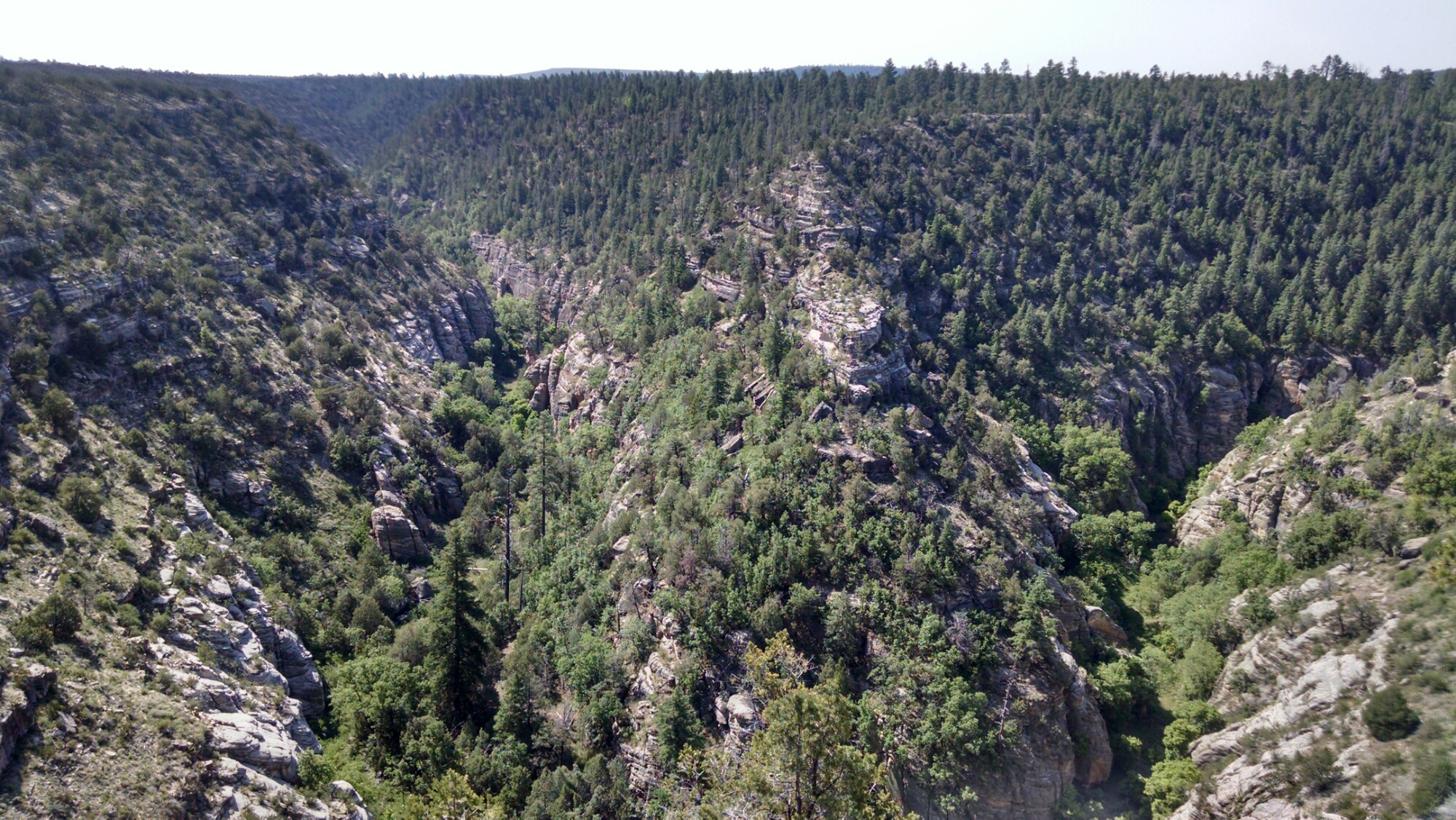 Read more about the article Walnut Canyon National Monument – Flagstaff, AZ