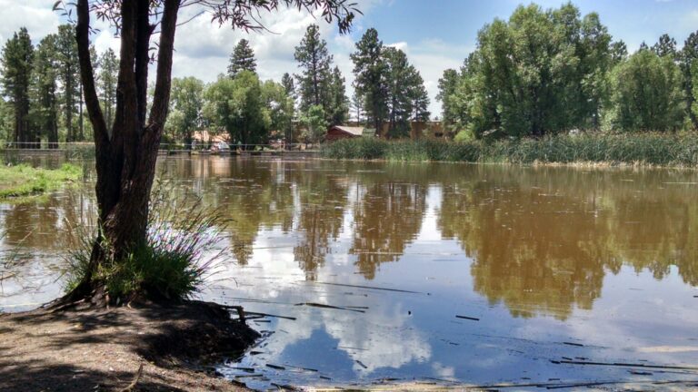 Read more about the article Observatory Mesa Trail –  Flagstaff, AZ