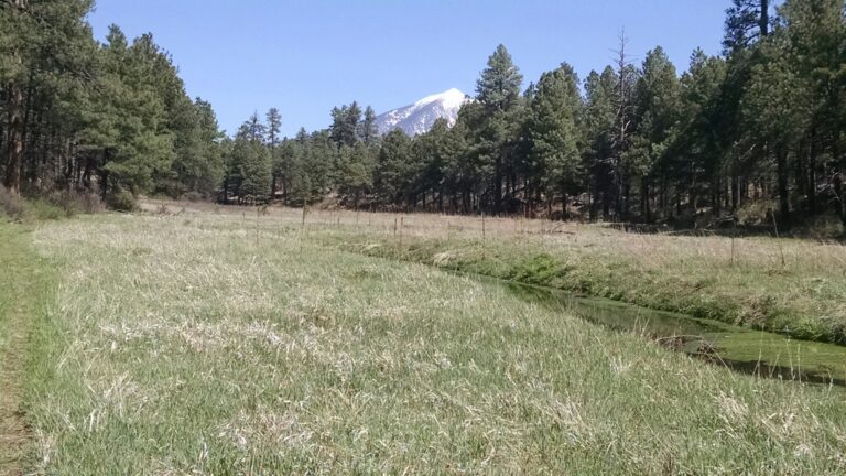 Read more about the article Rio De Flag South Trail – Flagstaff AZ