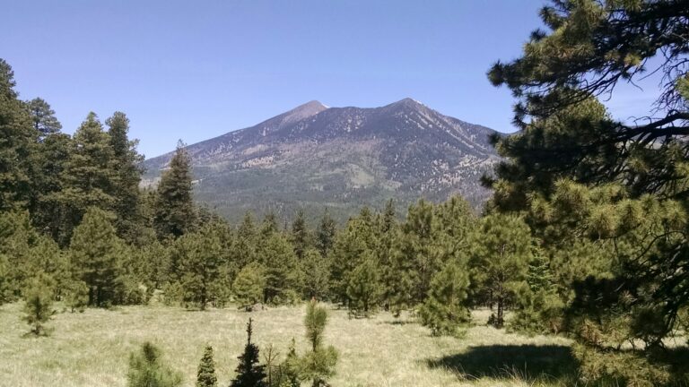 Read more about the article Dry Lake Hills Trail – Flagstaff, AZ