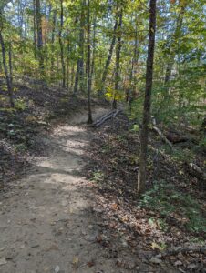 Vickery Creek Trail