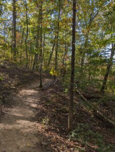 Vickery Creek Trail