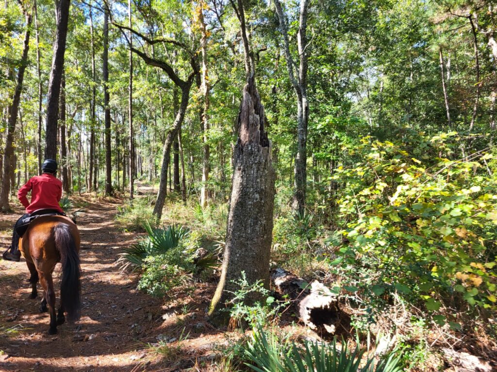 Meggett County Park