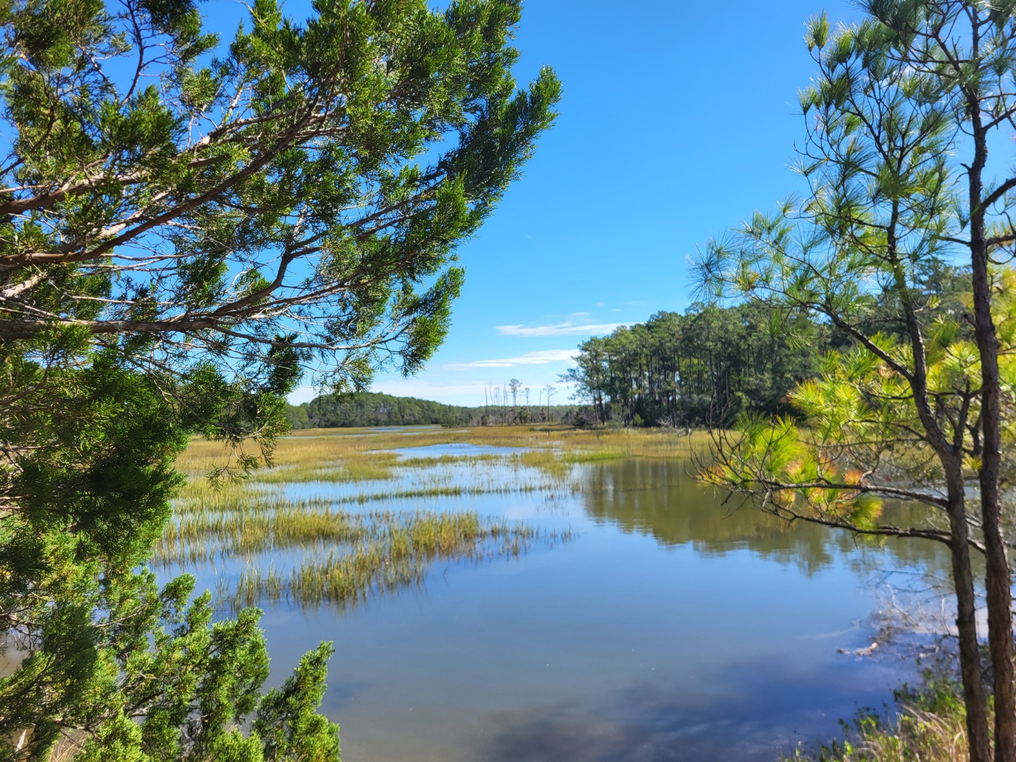 Read more about the article Meggett County Park