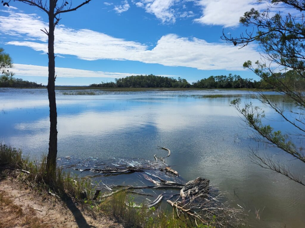 Meggett County Park