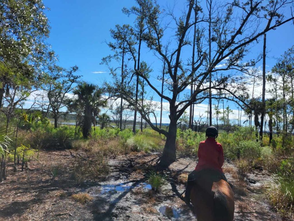 Meggett County Park