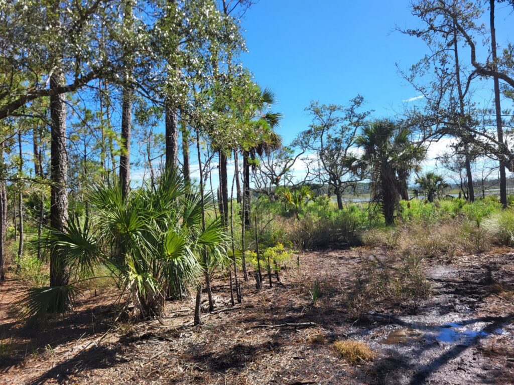 Meggett County Park