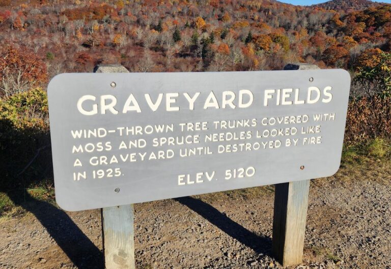 Read more about the article Graveyard Fields Loop Trail – Blue Ridge Parkway NC