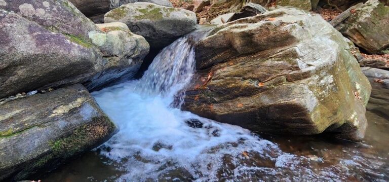 Read more about the article Bradley Falls Overlook Trail – Saluda, NC