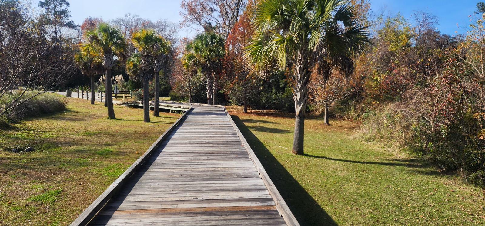 Read more about the article Crystal Lake Trail – Beaufort, SC