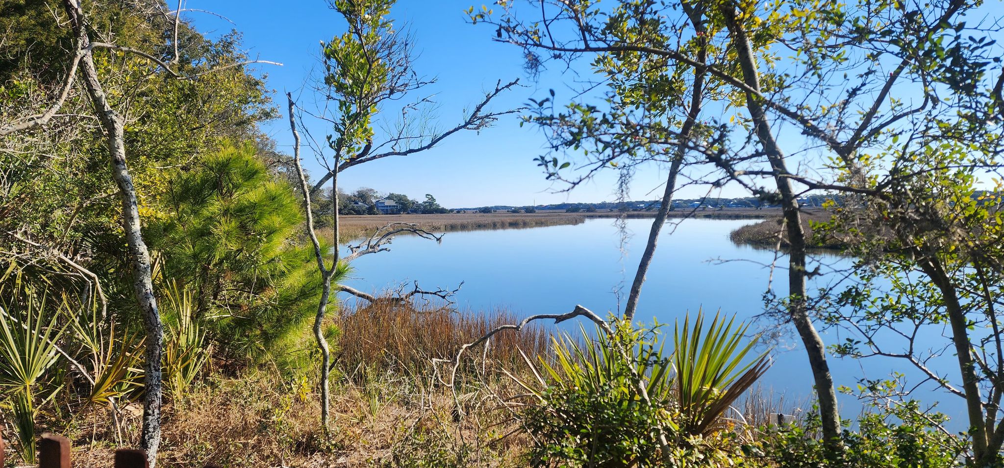 Read more about the article Spanish Mount Nature Trail – Edisto Island, SC