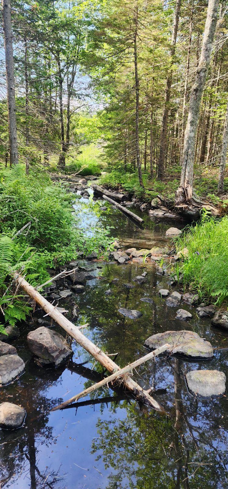 Read more about the article Cascade Overlook Trail – Bar Harbor, ME