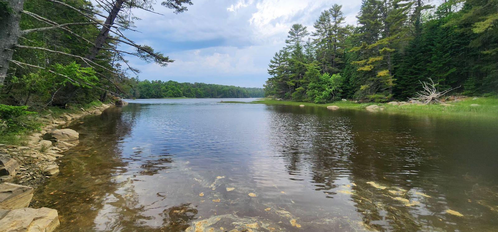 Read more about the article Jordan Homestead Trail – Ellsworth, ME