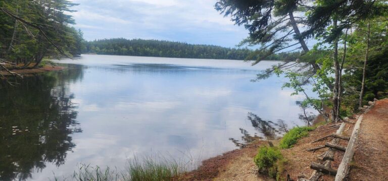 Read more about the article Lower Hadlock Pond Loop Trail – Acadia National Park, ME