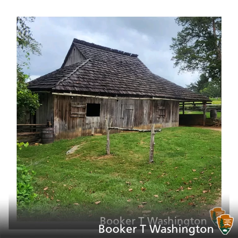 Read more about the article Jack O Lantern Branch Trail – Hardy, VA